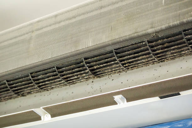 Best Air Duct Cleaning Near Me  in Spanay, WA